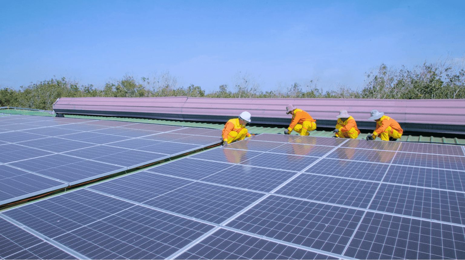 Team working on solar plant