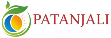 Patnajali's logo